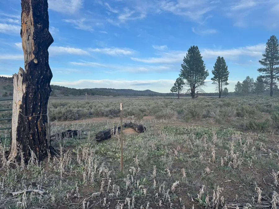 0 Mule Deer Drive #1, Sprague River, OR 97639 - #3