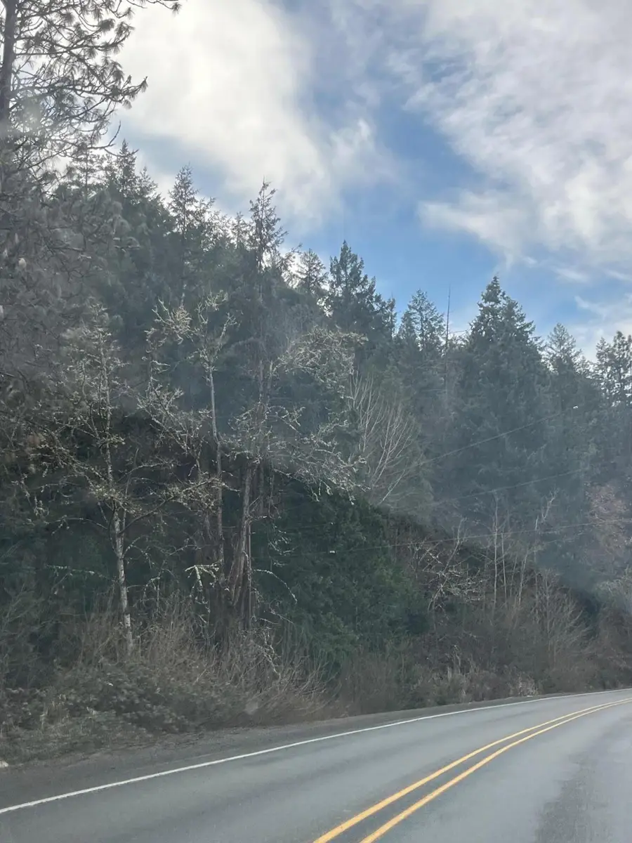 Rogue River Highway #1600, Rogue River, OR 97537 - #3
