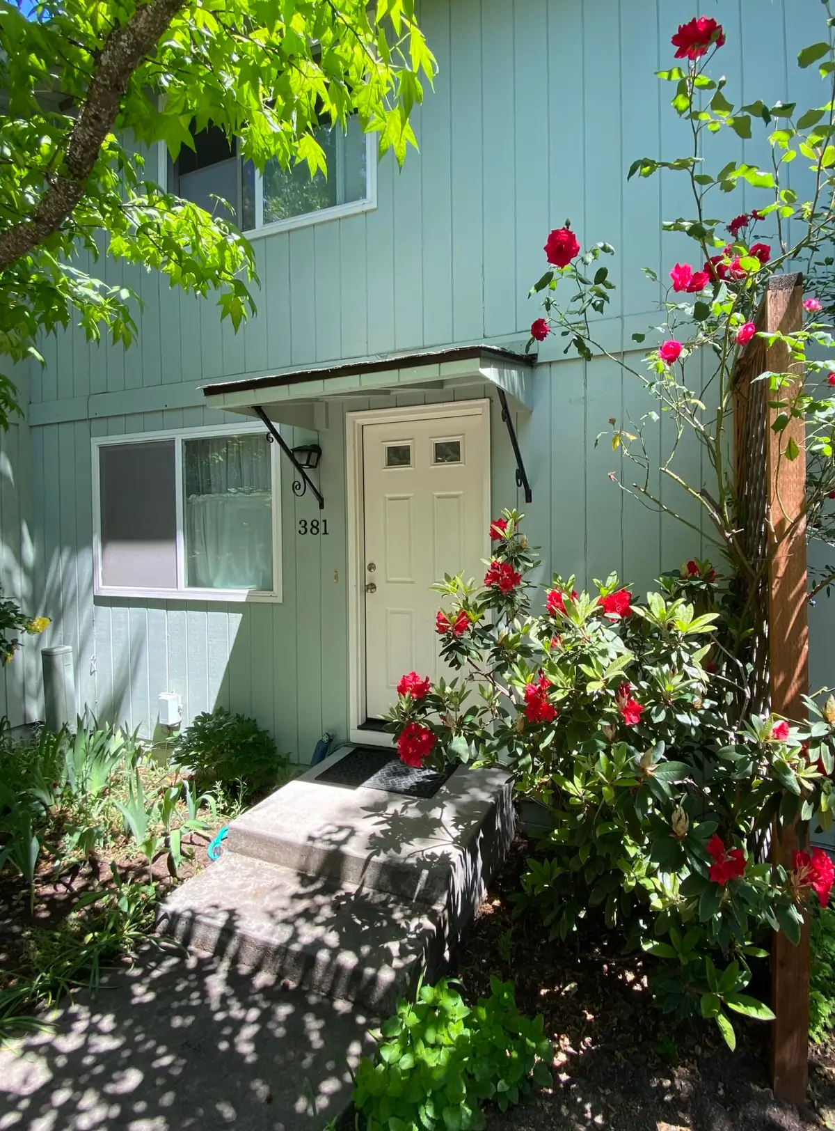 381 Glenn Street, Ashland, OR 97520 - #1