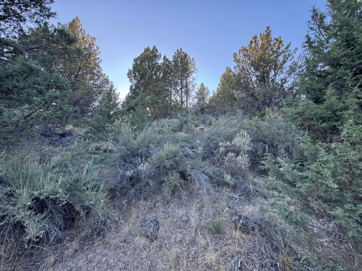 0 Wasco Street #100, Sprague River, OR 97639 - #1