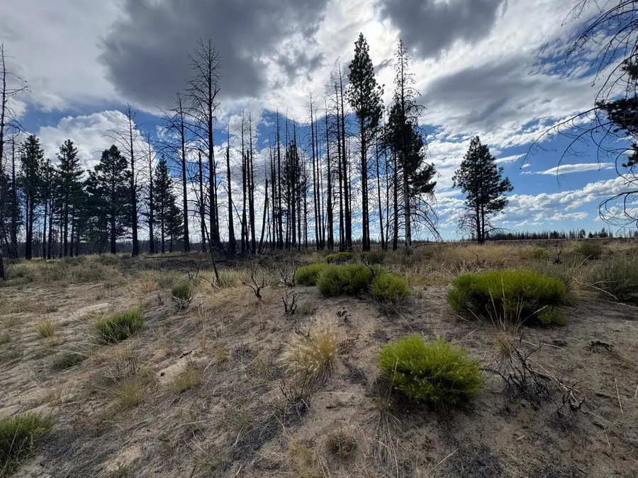 0 Shasta Fir Lane #9, Beatty, OR 97621 - #2