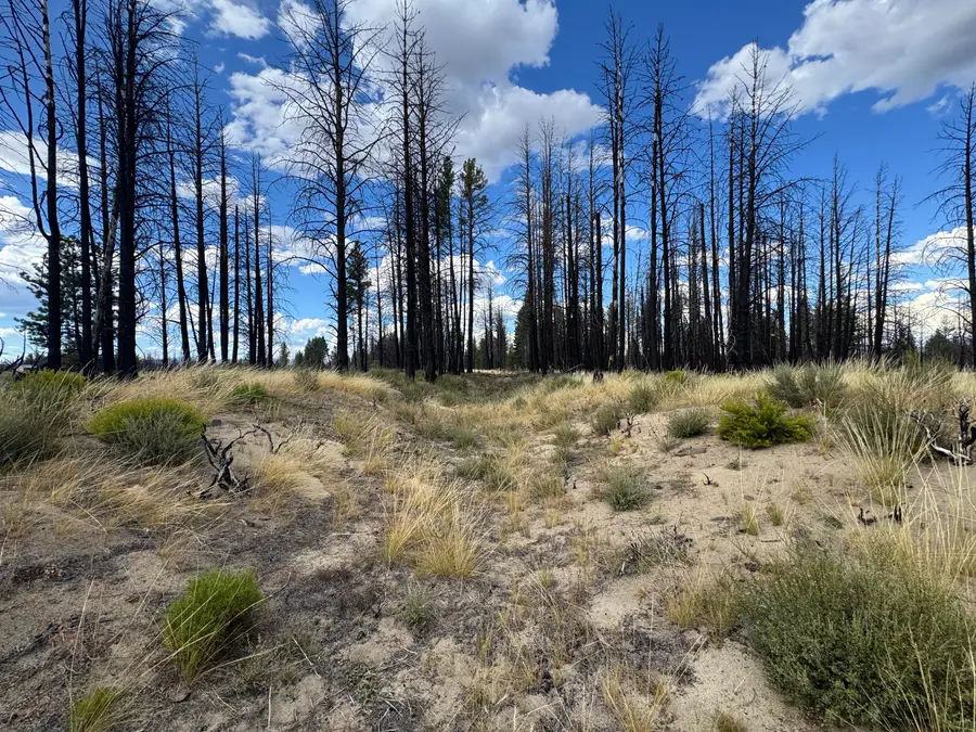0 Shasta Fir Lane #9, Beatty, OR 97621 - #3