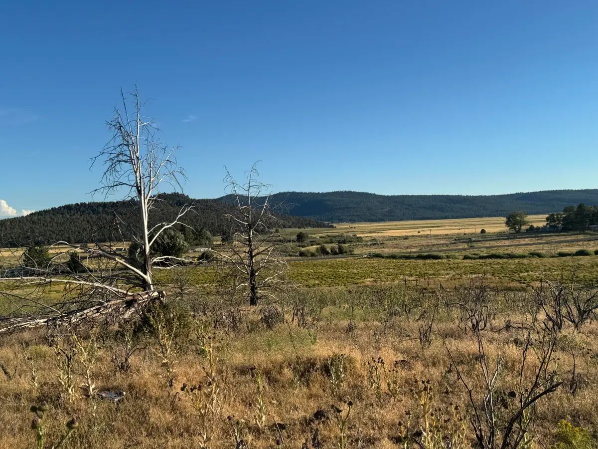 0 Curry Street #129, Sprague River, OR 97639 - #1