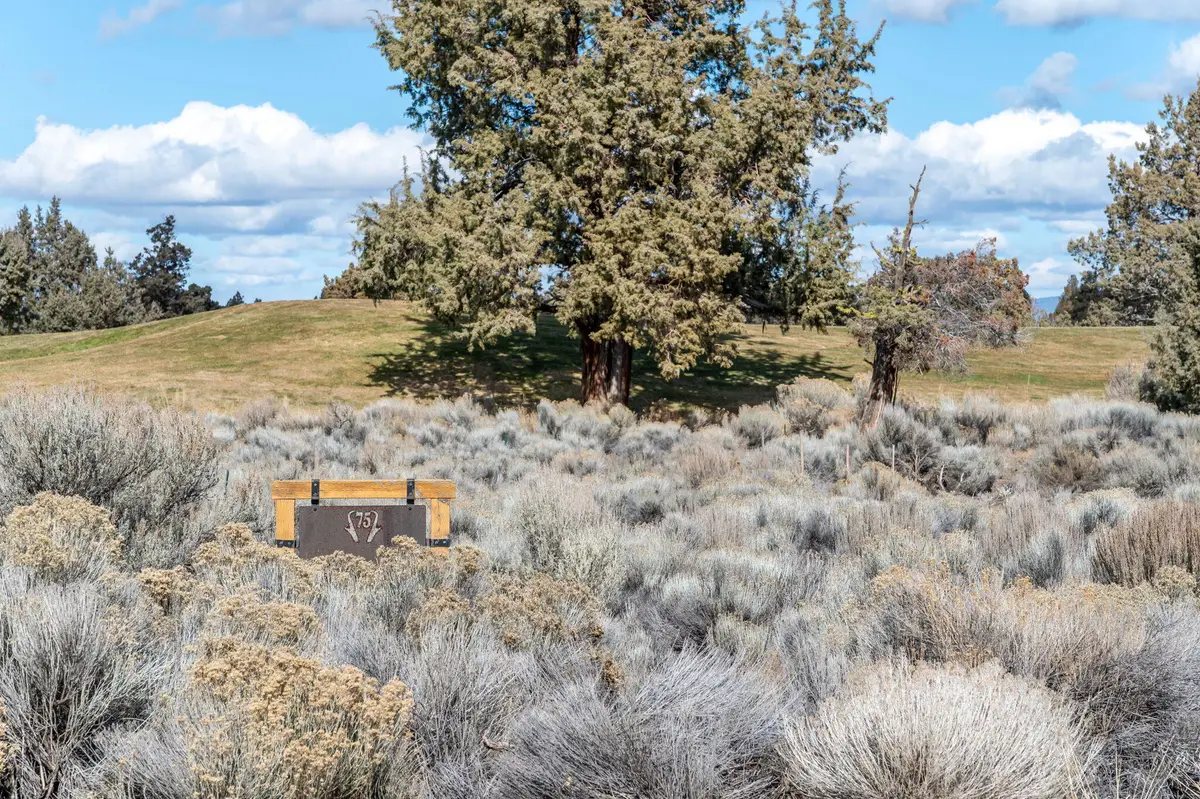 65980 Pronghorn Estates #Lot 75, Bend, OR 97701 - #1