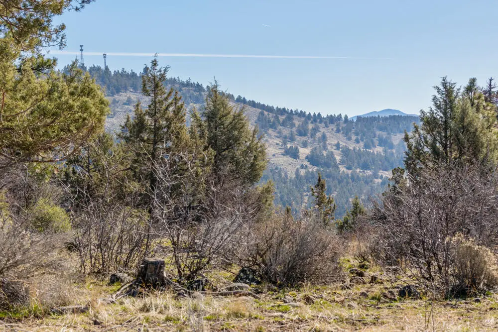 957 Bailey Mountain Road, Klamath Falls, OR 97601 - #1