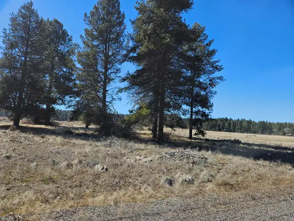 0 Longhorn Loop #25, Chiloquin, OR 97624