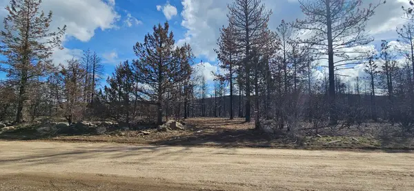 Mockingbird Drive #394530, Bonanza, OR 97623