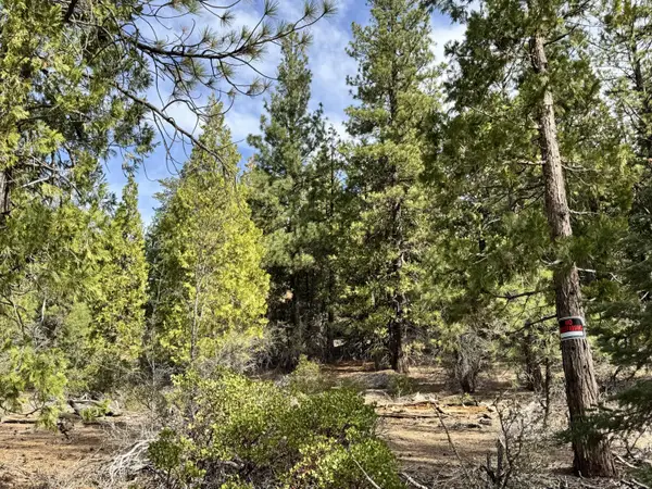 0 Whale Lane, Bonanza, OR 97623