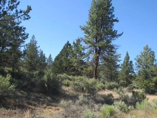 0 Little Fawn Drive #10, Chiloquin, OR 97624