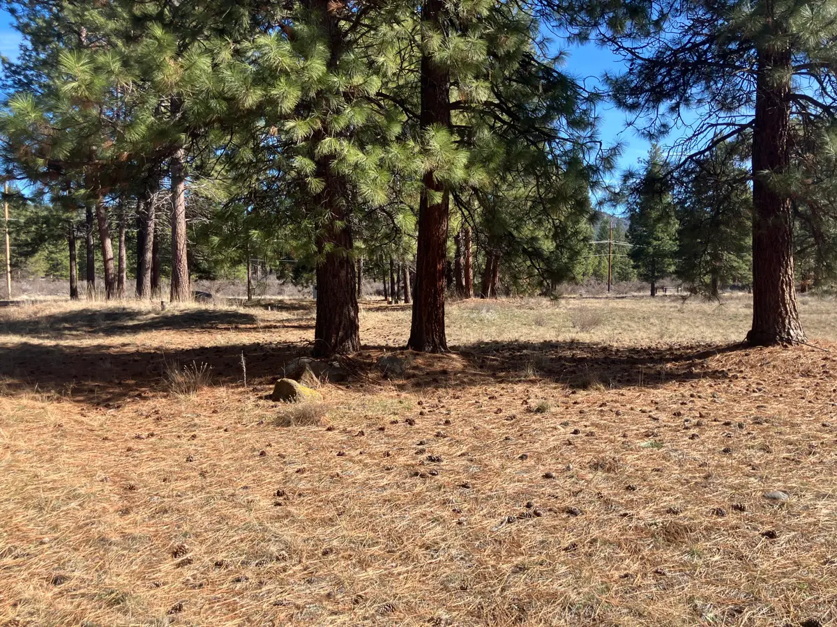 0 Winema Peninsula, Chiloquin, OR 97624 - #1