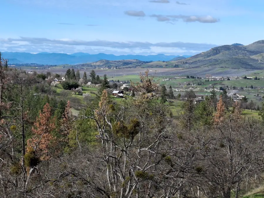 Pape Street, Ashland, OR 97520 - #3