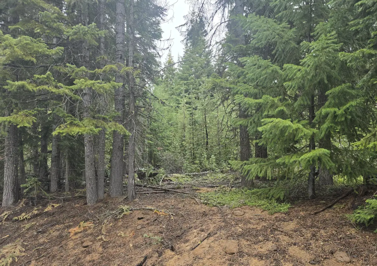 4 Royce Pine Road, Crescent Lake, OR 97733 - #1