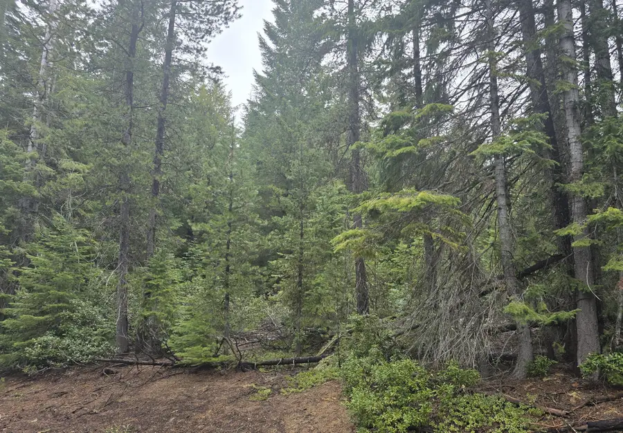 5 Royce Pine Road, Crescent Lake, OR 97733 - #2