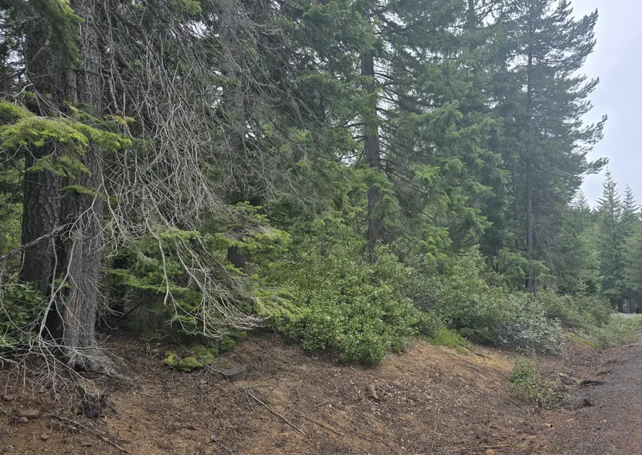 5 Royce Pine Road, Crescent Lake, OR 97733 - #3