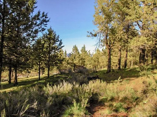 0 Pearson Butte Trail #16, Keno, OR 97627 - #1