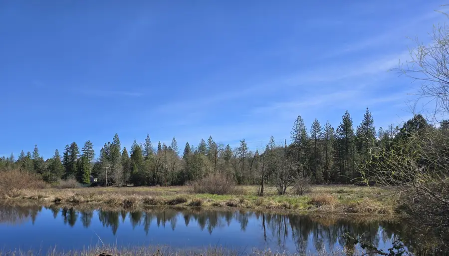 147 Warren Road, Selma, OR 97538 - #2