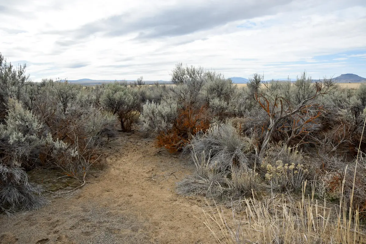Willa Road #3, Christmas Valley, OR 97641 - #1