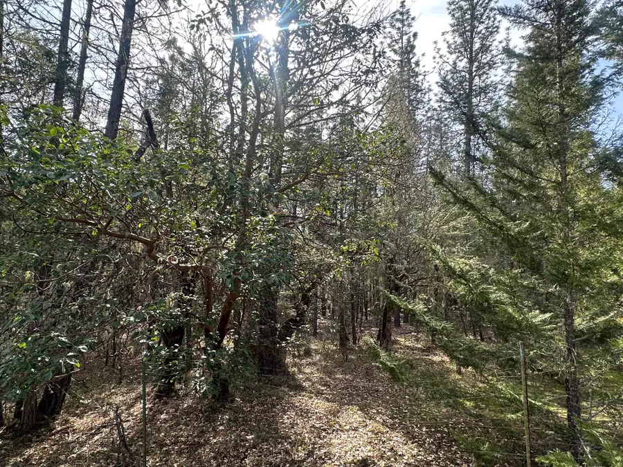 235 Eagle Ridge Drive, Grants Pass, OR 97526 - #2