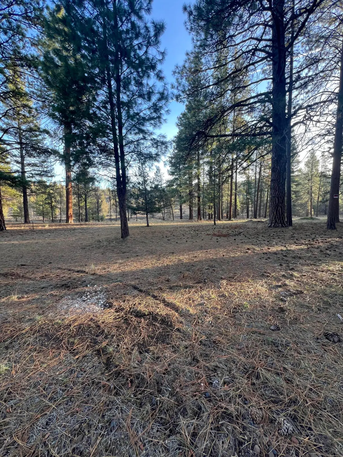 Overland Drive #4 & 5, Klamath Falls, OR 97603 - #1