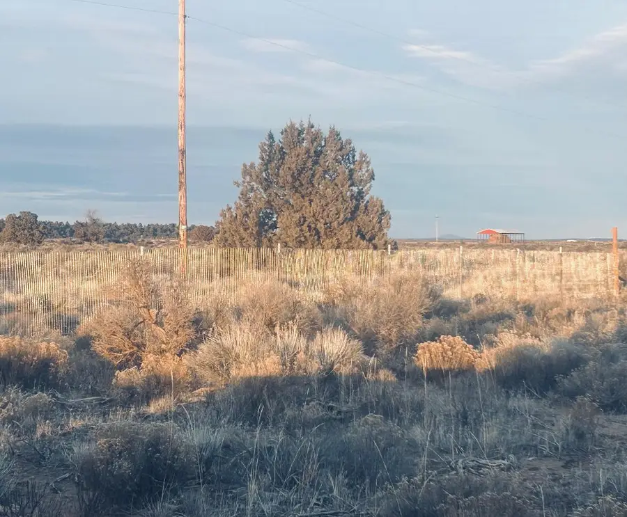 Honey Do Lane #TL 2500, Christmas Valley, OR 97641 - #3