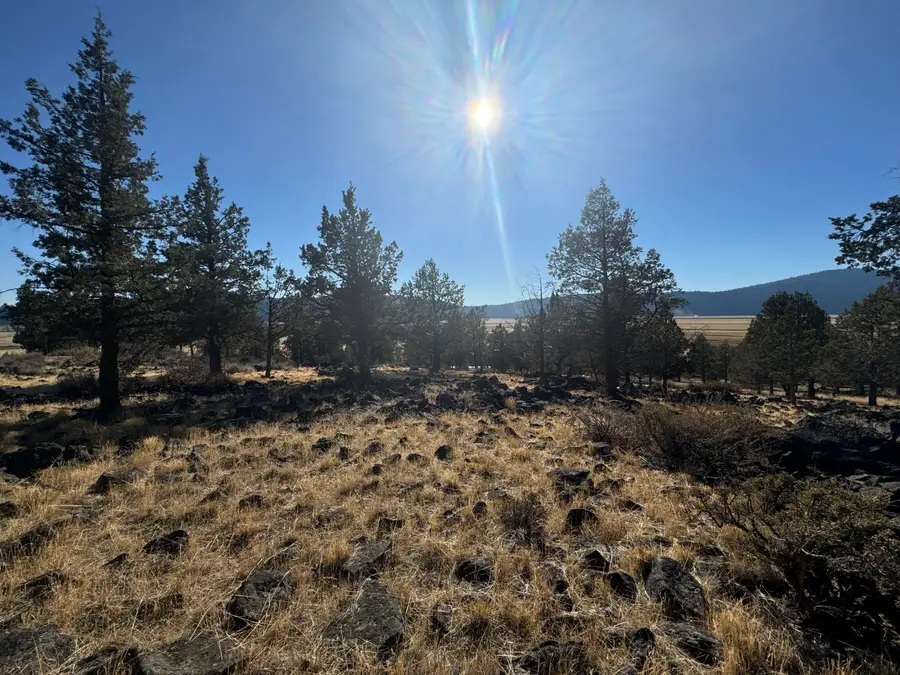 0 Fox Sparrow Drive #1127, Klamath Falls, OR 97601 - #2