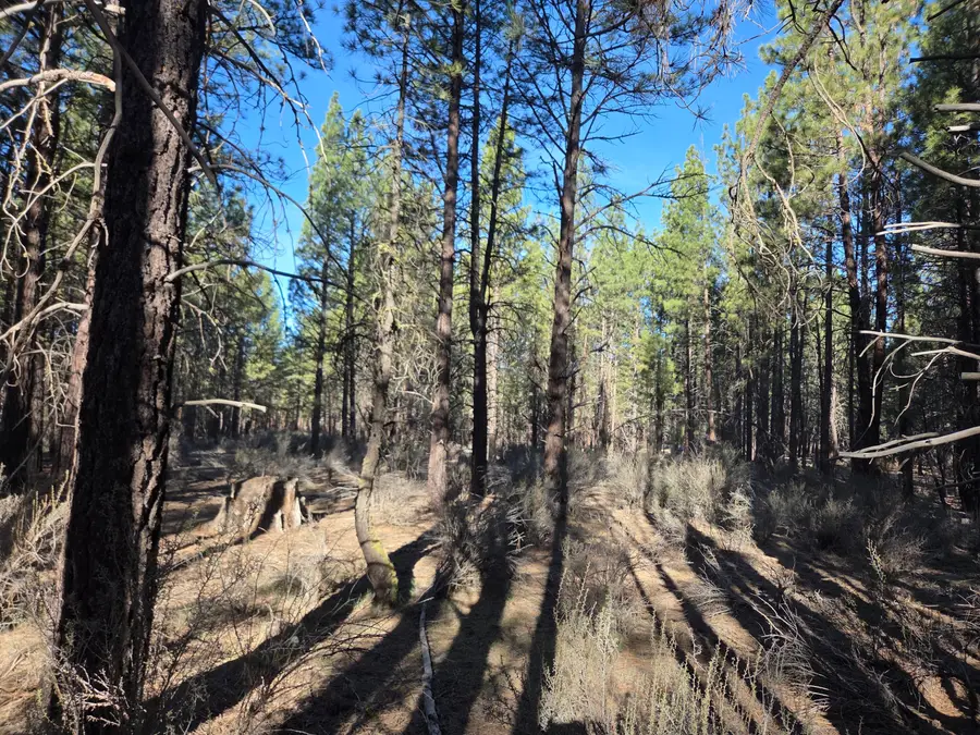 0 Grey Wolf Lane #Lot 7, Chiloquin, OR 97639 - #3