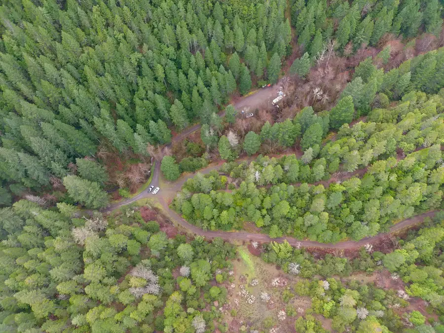 1834 Waters Creek Road, Wilderville, OR 97543 - #3