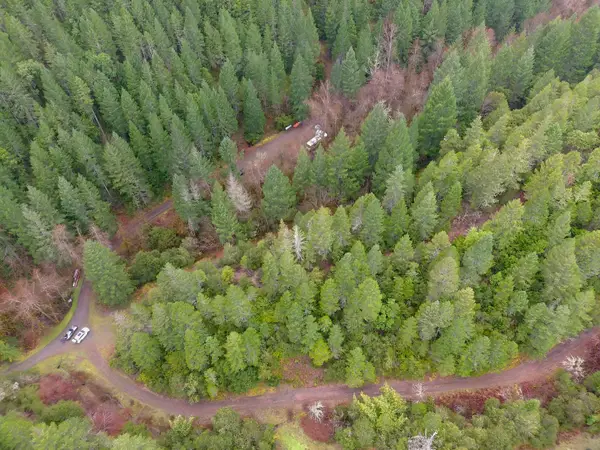 1802 Waters Creek Road, Wilderville, OR 97543