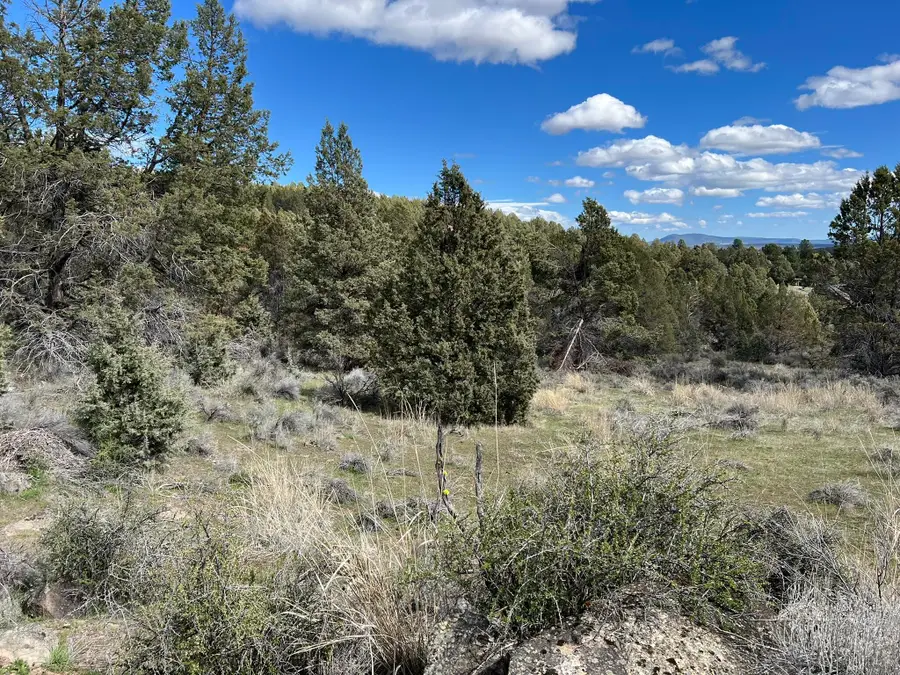 0 Shasta Street #35, 36, 38, Sprague River, OR 97639 - #3