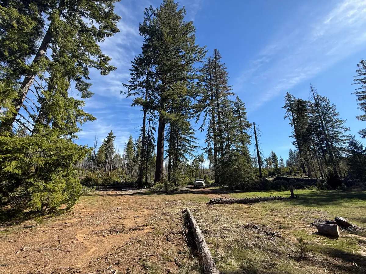 0 Swede Basin Road #R325987, Selma, OR 97538 - #1