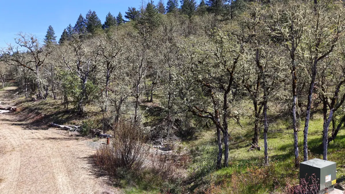 345 Whitaker Lane, Grants Pass, OR 97527 - #1