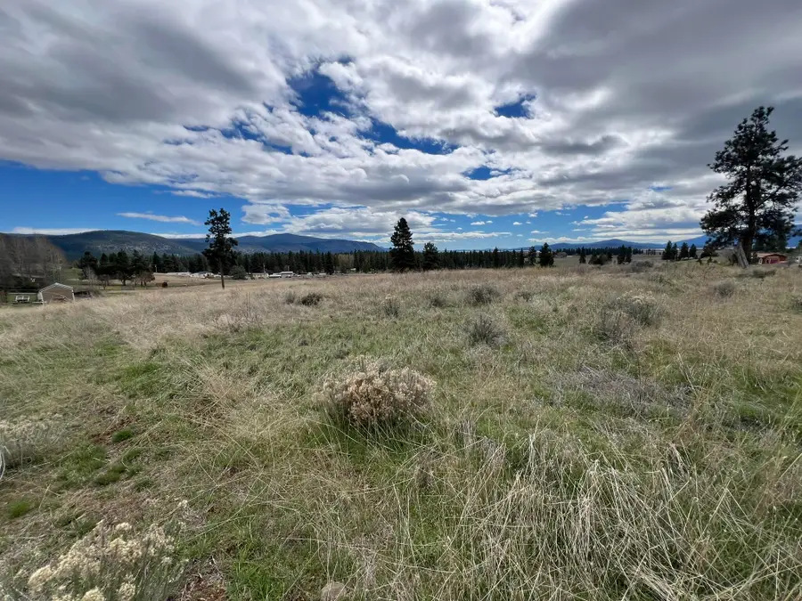 0 Amberwood Court #53, Chiloquin, OR 97624 - #2