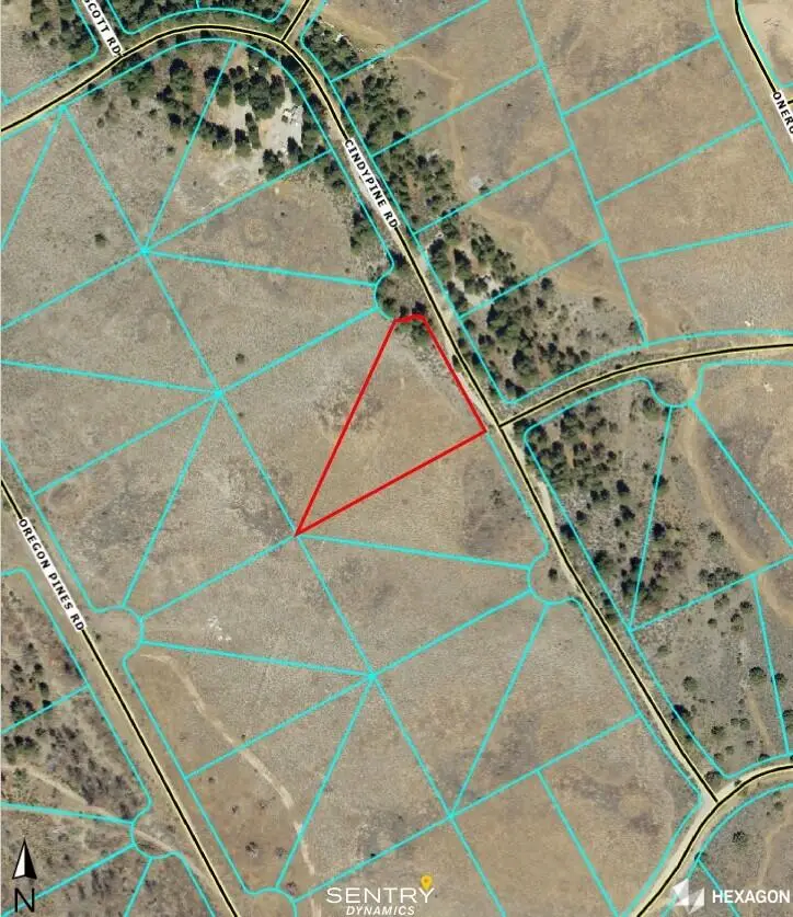 Lot 18 Cindy Pine Road, Beatty, OR 97621 - #3