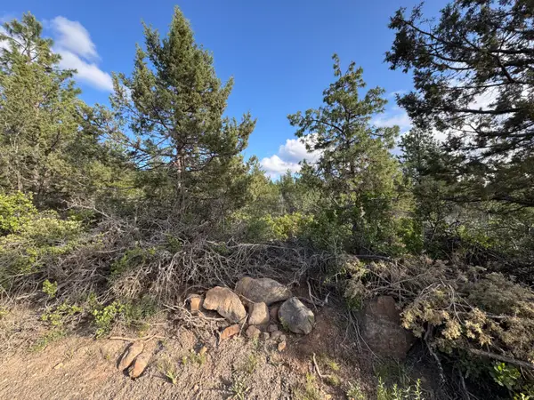 0 Grizzly Lane #14, Bonanza, OR 97623