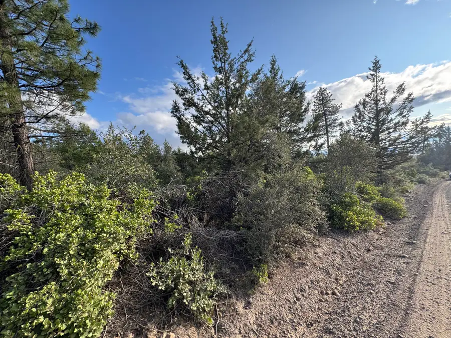 0 Grizzly Lane #14, Bonanza, OR 97623 - #2