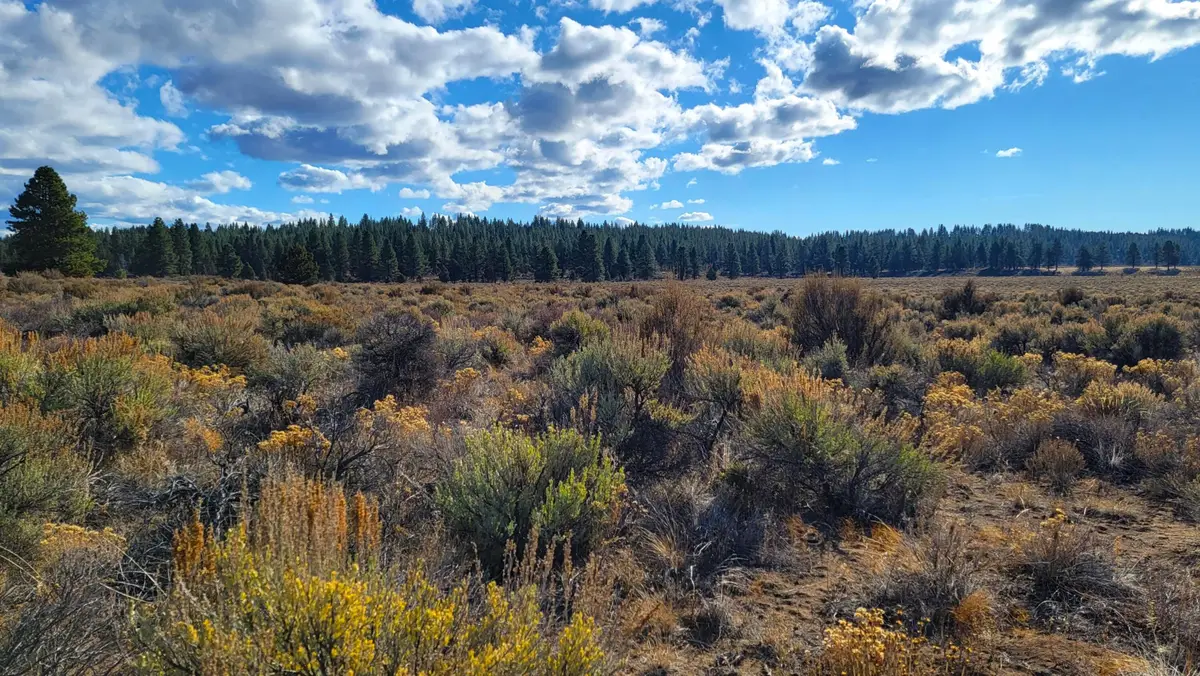 0 Tableland Road #1400 & 1500, Sprague River, OR 97639 - #1