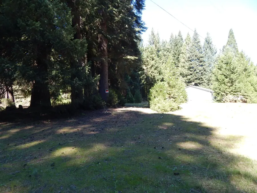 Red Blanket Road, Prospect, OR 97536 - #2