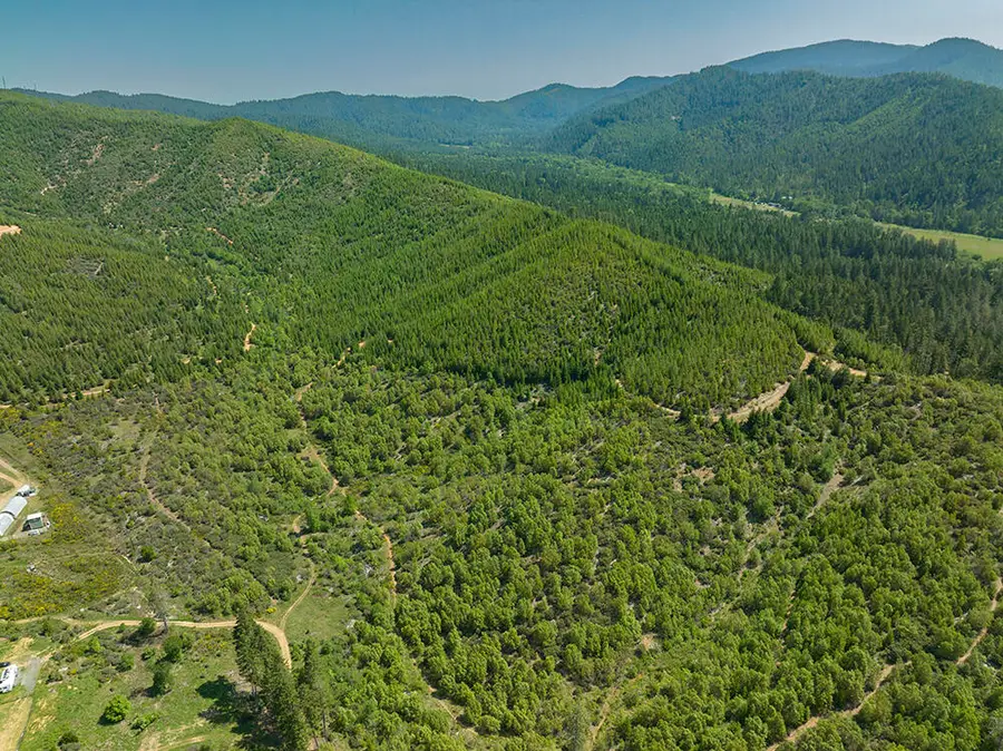 0 Deer Creek Road #700, Selma, OR 97538 - #3