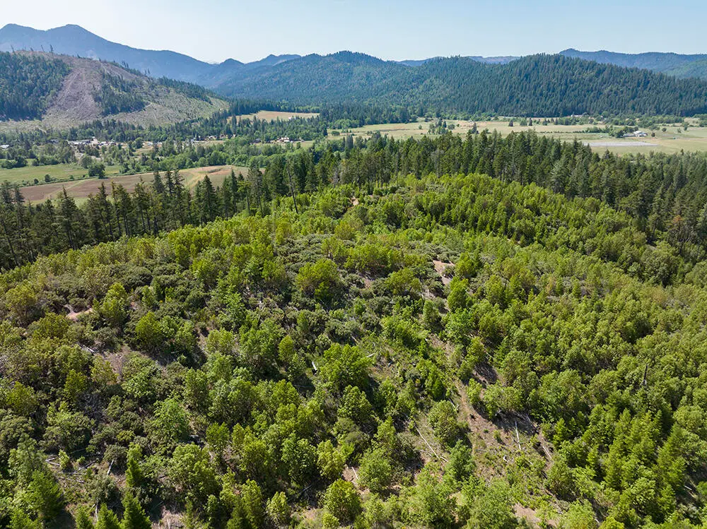 0 Deer Creek Road #802, Selma, OR 97538 - #1