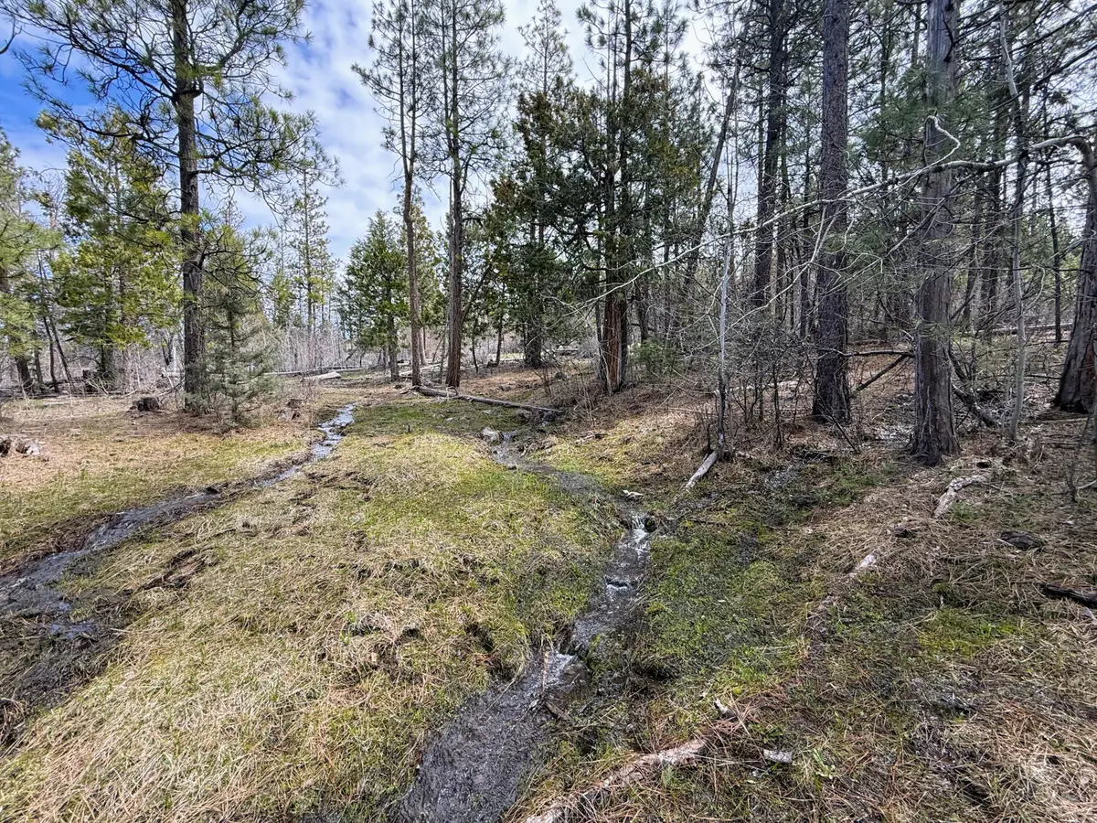 0 Yellowjacket Springs Rd, Beatty, OR 97621 - #1