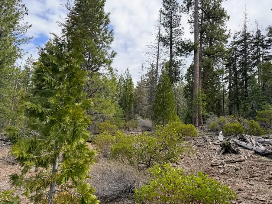 0 Yellowjacket Springs Rd, Beatty, OR 97621 - #3