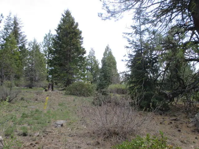 0 Night Owl Drive #2, Bonanza, OR 97623 - #2