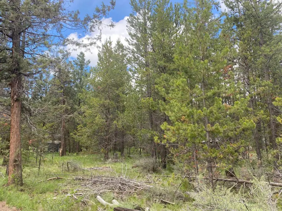 55508 Circle Street, Bend, OR 97707 - #2