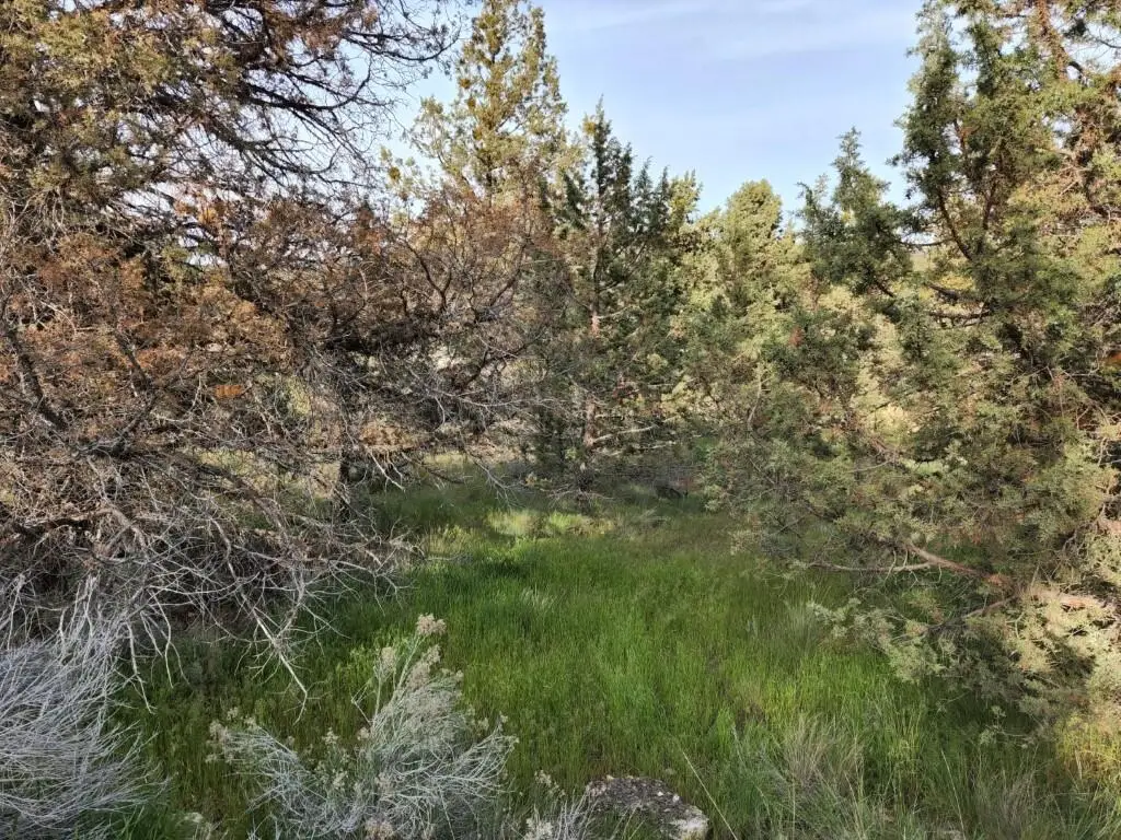 NW Jordan Avenue, Prineville, OR 97754 - #1