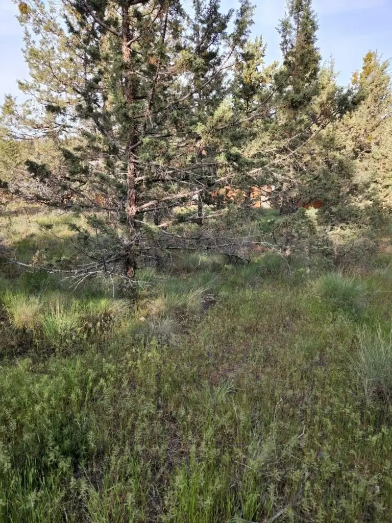 NW Jordan Avenue, Prineville, OR 97754 - #3