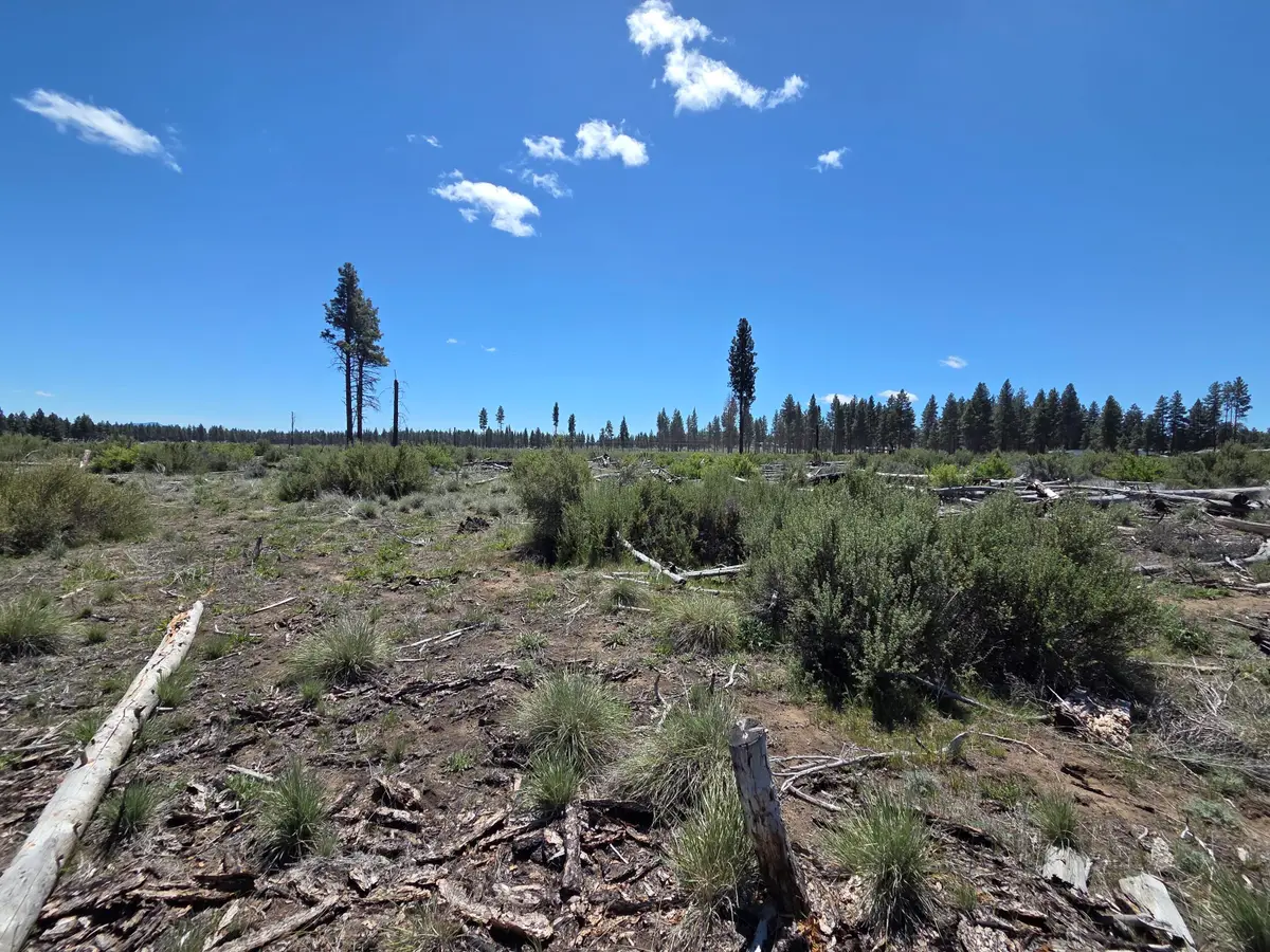 0 Mountain Quail Lane #Lot 9, Chiloquin, OR 97624 - #1
