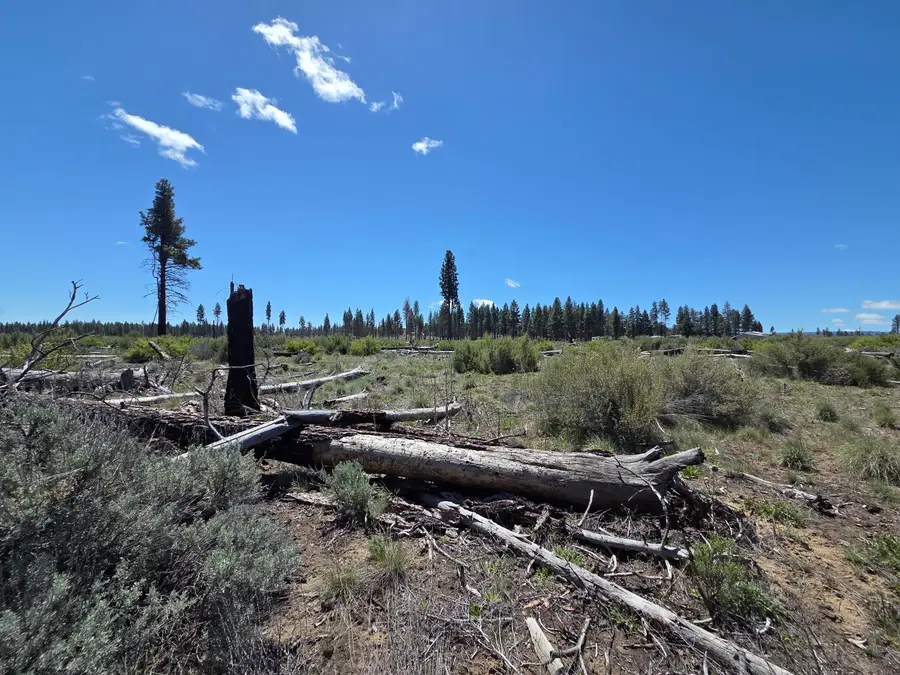 0 Mountain Quail Lane #Lot 9, Chiloquin, OR 97624 - #2