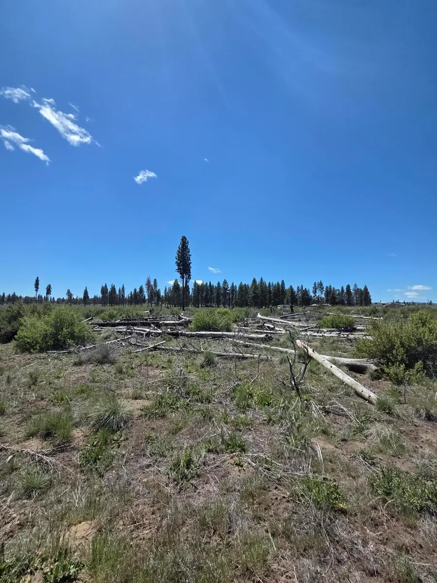 0 Mountain Quail Lane #Lot 9, Chiloquin, OR 97624 - #3