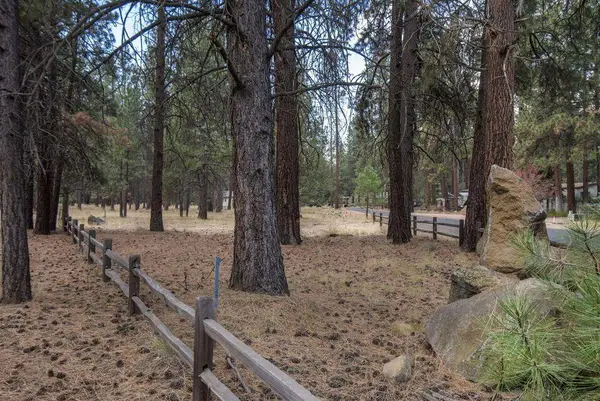 157 W Black Crater Avenue, Sisters, OR 97759