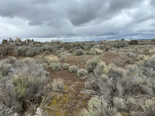 0 Bark Loop, Christmas Valley, OR 97641